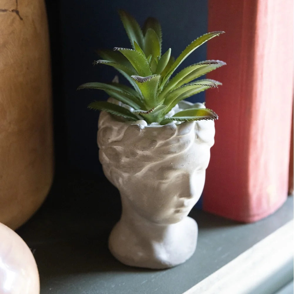 Artificial Succulent Plant in Cement Face Planter Tabletop Decor Indoor Greenery Home Decoration Handmade Rustic Design