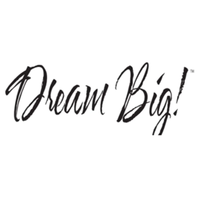 Dream Big Twin Pack Bed Pillows