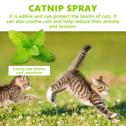 Yegbong 100ml Cat Catnip Spray Relieve Stress Long Lasting Anti Anxiety Health Care Soothe Mood Enhance Vitality Pet Calm Spray