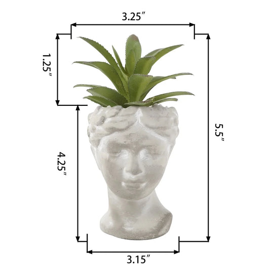 Artificial Succulent Plant in Cement Face Planter Tabletop Decor Indoor Greenery Home Decoration Handmade Rustic Design