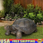Turtle Statues Garden Outdoor Decor Fiber Reinforced Concrete Lawn Sculptures Charming Tortoise Figurines Whimsical Yard