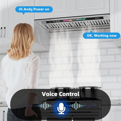 30/36 Inch Insert Range Hood with Voice/Gesture/Touch Control, 900 CFM Built-in Kitchen Hood Vent with 4 Speed Exhaust Fan