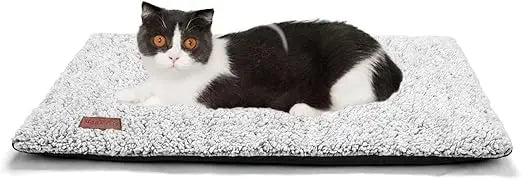 Self Warming Cat Bed Self Heating Cat Dog Mat 24 x 18 inch Extra Warm Thermal Pet Pad for Indoor Outdoor Pets with Removable Cov
