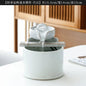 Lucky water decorations, small household fountains, living room, office desktop, running water supply money decoration