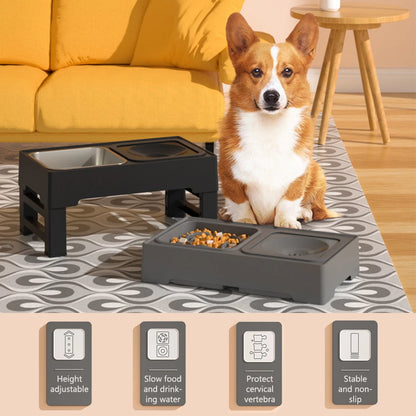 3 In 1 Pet Stainless Steel Water and Food Bowls