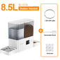 2In1 Automatic Pet Feeder Gravity Water Fountain 8.5L Button Version Auto Cat Kibble Dispenser with Water Refill Drinker