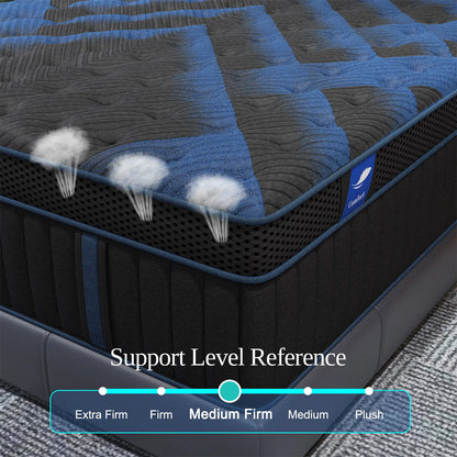 Twin Full Queen King Mattress in A Box, 12/14 Inch Hybrid Memory Mattresses Euro Top Medium Firm for Back & Lumbar Support