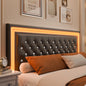Queen LED Platform Bed Frame with 4 Storage, PU Leather, No Box Spring, Easy Assembly, 900lbs Capacity