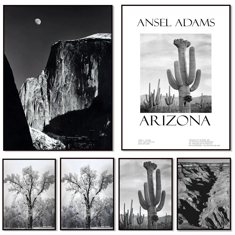 Ansel Adams Lithograph, Teton and Snake Rivers, Dogwood Flowers, Ansel Adams Half Dome, Mountains, Oak Street Landscape Poster,
