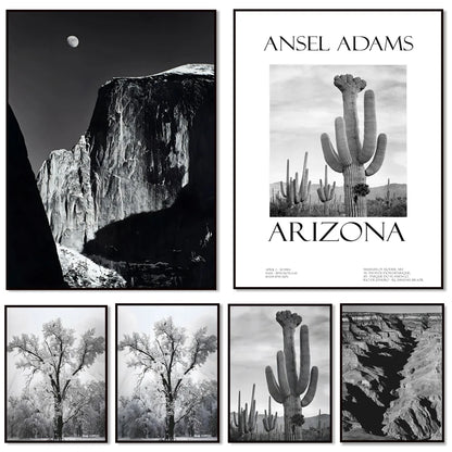 Ansel Adams Lithograph, Teton and Snake Rivers, Dogwood Flowers, Ansel Adams Half Dome, Mountains, Oak Street Landscape Poster,