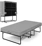 RPD4-LED Couches for Living Room.Modular Sectional Sofa Set Storage Ottomans.Oversized U Shapped