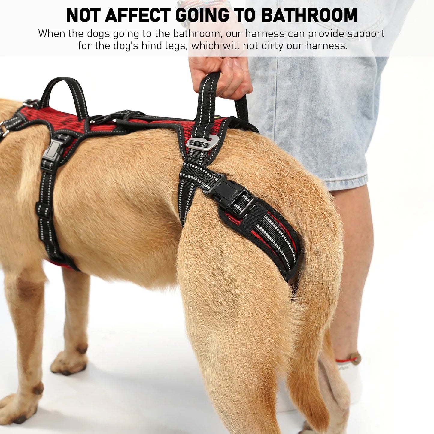 Mobility Dog Lift Harness, Support Sling & Walking Sling for Dogs, Pet Rear Leg Rehabilitation Support Vest, Dog Carrier