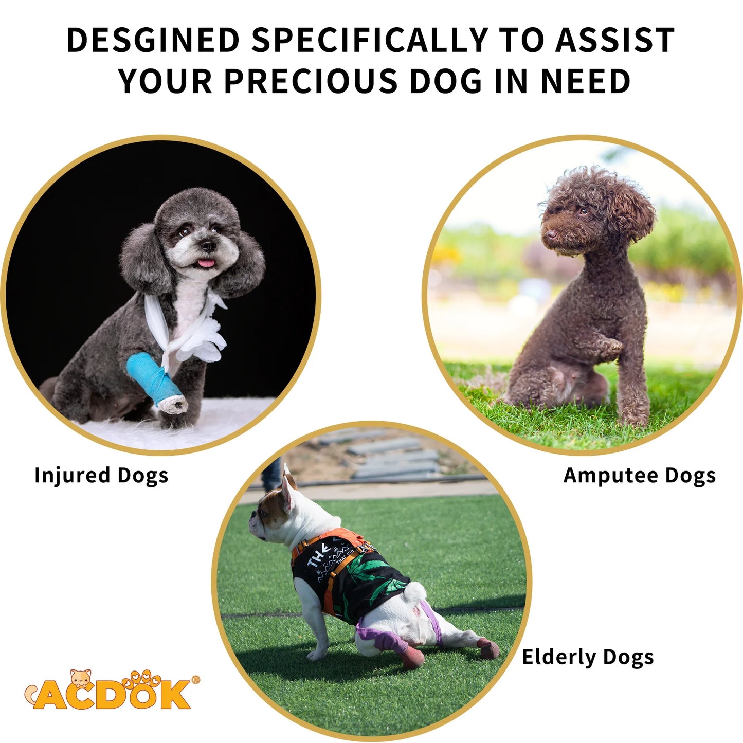 Summer Dog Lift Harness,Dog Assistance Strap,Adjustable Pet Support & Rehabilitation Sling Lift,for Joint Injuries,Disabled Dogs