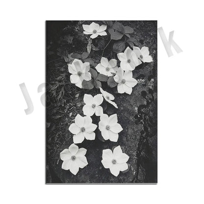 Ansel Adams Lithograph, Teton and Snake Rivers, Dogwood Flowers, Ansel Adams Half Dome, Mountains, Oak Street Landscape Poster,