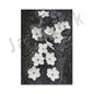 Ansel Adams Lithograph, Teton and Snake Rivers, Dogwood Flowers, Ansel Adams Half Dome, Mountains, Oak Street Landscape Poster,