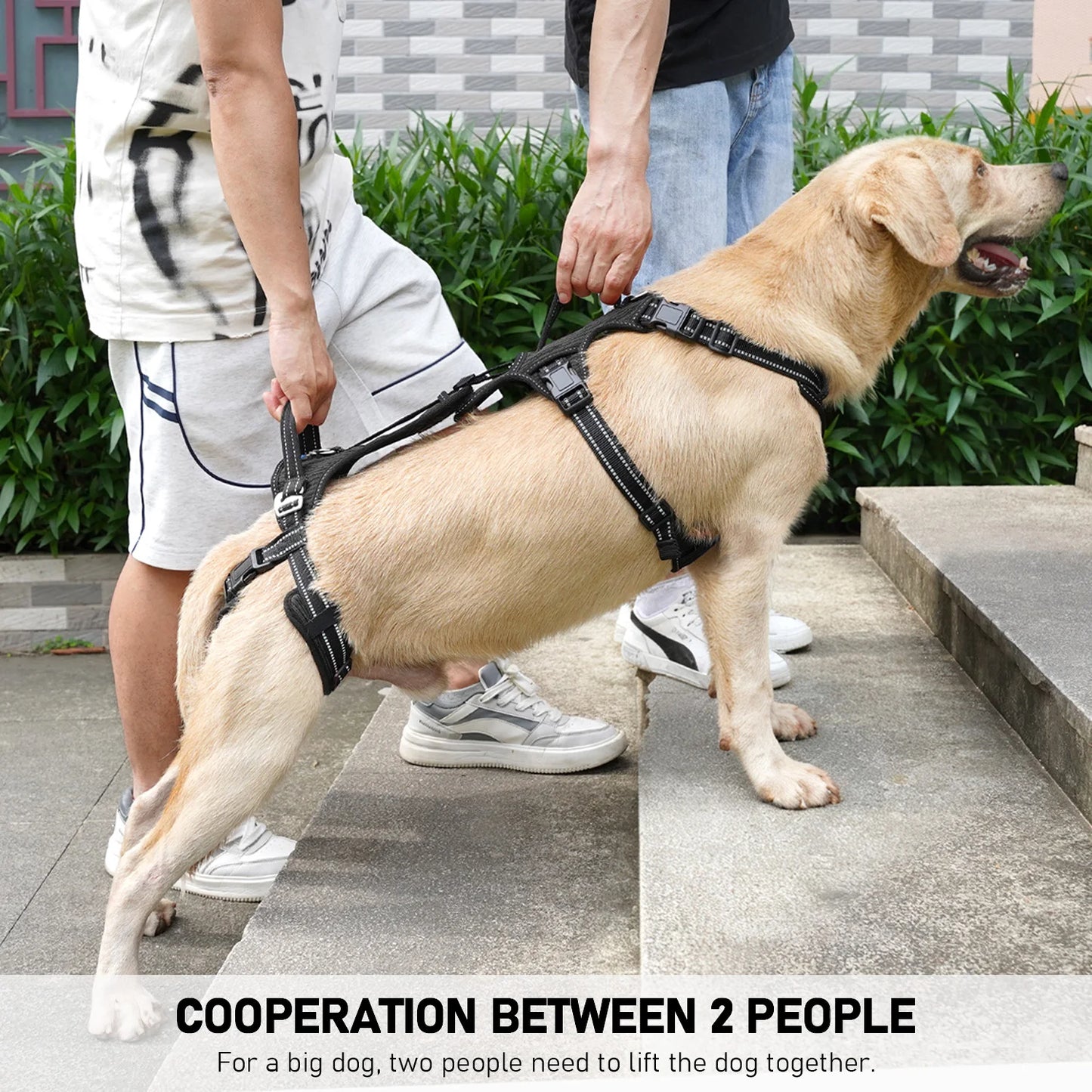 Mobility Dog Lift Harness, Support Sling & Walking Sling for Dogs, Pet Rear Leg Rehabilitation Support Vest, Dog Carrier