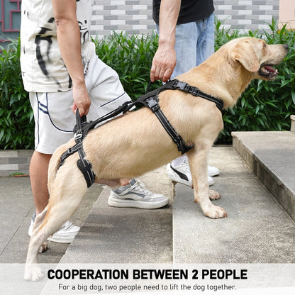 Mobility Dog Lift Harness, Support Sling & Walking Sling for Dogs, Pet Rear Leg Rehabilitation Support Vest, Dog Carrier