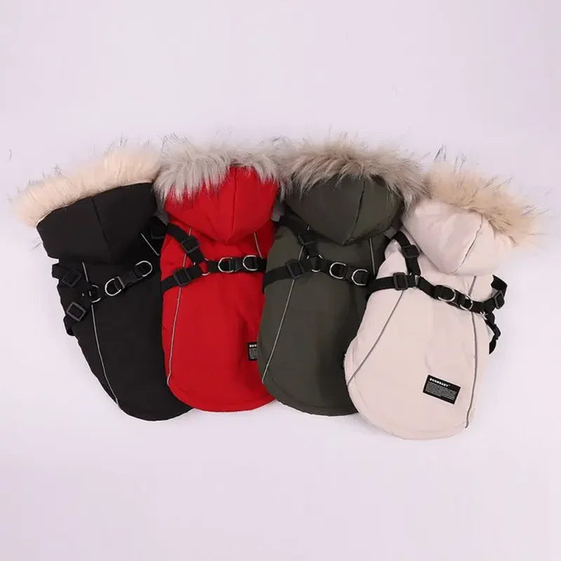 Winter Pet Dog Jacket With Harness Warm Dog Clothes Waterproof Hooded Coat for Small Medium Dogs
