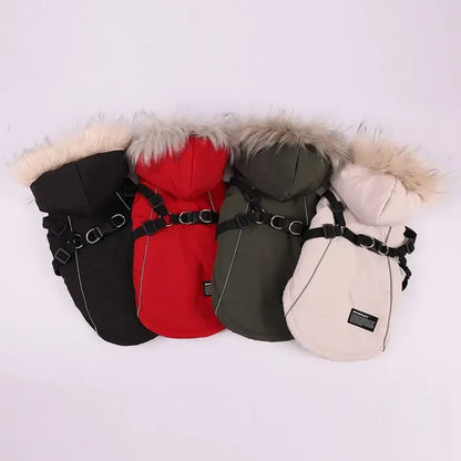 Winter Pet Dog Jacket With Harness Warm Dog Clothes Waterproof Hooded Coat for Small Medium Dogs
