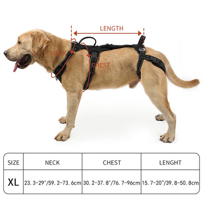 Mobility Dog Lift Harness, Support Sling & Walking Sling for Dogs, Pet Rear Leg Rehabilitation Support Vest, Dog Carrier
