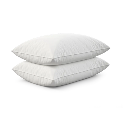 Dream Big Twin Pack Bed Pillows