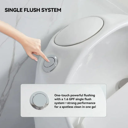 One Piece Toilet Egg Shaped Toilet Bowl amp 1.6 GPF Siphon Flush, Rough in 12 Inch Small Toilets for Small Bathroom Modern Toil