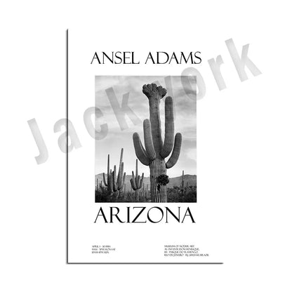 Ansel Adams Lithograph, Teton and Snake Rivers, Dogwood Flowers, Ansel Adams Half Dome, Mountains, Oak Street Landscape Poster,