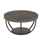 Tribesigns 31.7" Round Coffee Table, Industrial 2-Tier Circle Coffee Table with Storage Shelves, Modern