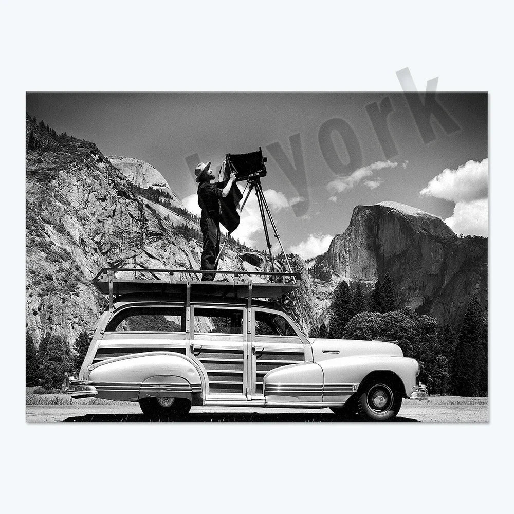 Ansel Adams Lithograph, Teton and Snake Rivers, Dogwood Flowers, Ansel Adams Half Dome, Mountains, Oak Street Landscape Poster,