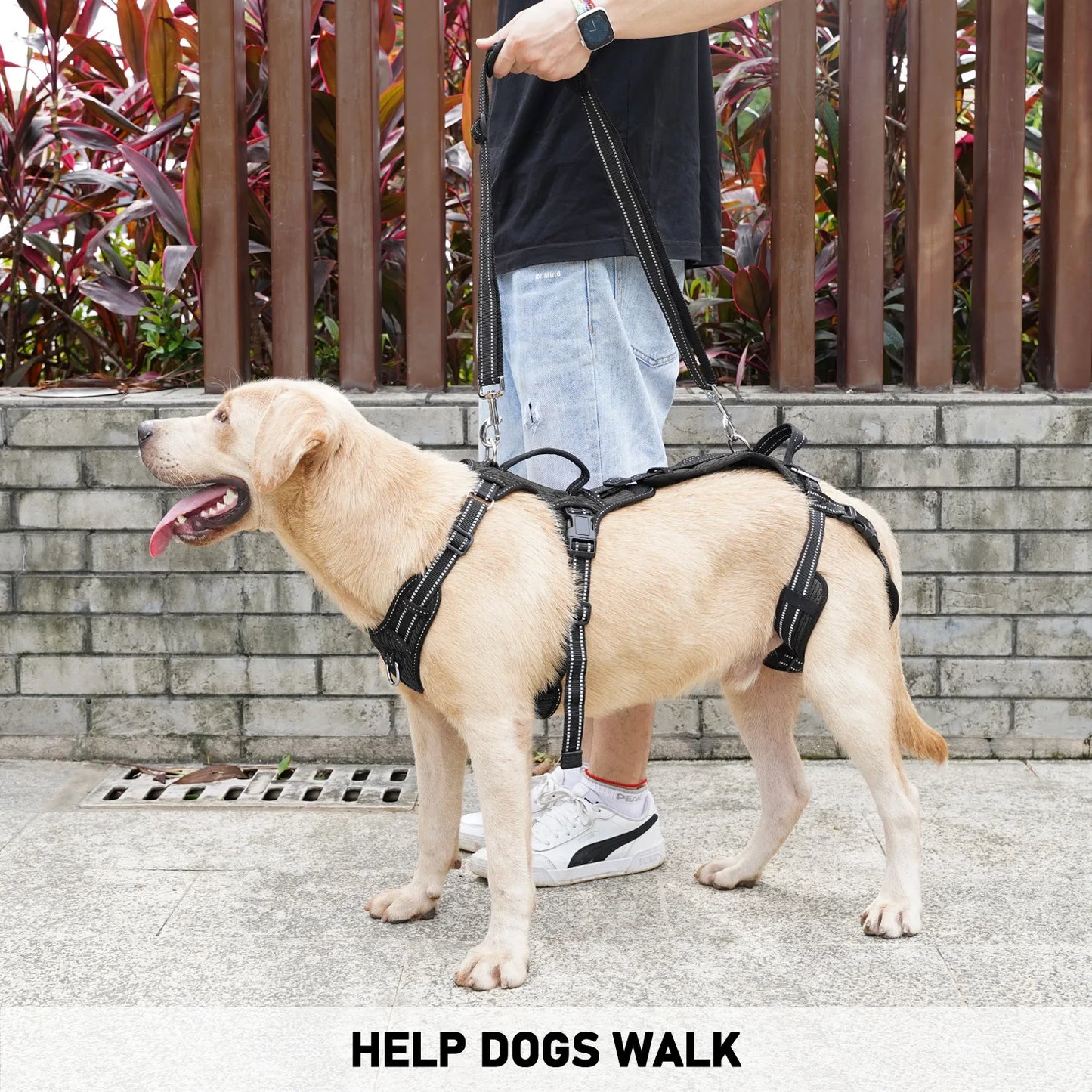 Mobility Dog Lift Harness, Support Sling & Walking Sling for Dogs, Pet Rear Leg Rehabilitation Support Vest, Dog Carrier