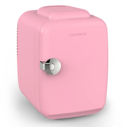 4L Mini Fridge 110V 220V Beauty Makeup Skincare Refrigerator AC/DC Heated Cooling Beauty Refrigerator Car Mini Fridge