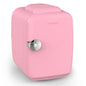 4L Mini Fridge 110V 220V Beauty Makeup Skincare Refrigerator AC/DC Heated Cooling Beauty Refrigerator Car Mini Fridge