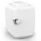 4L Mini Fridge 110V 220V Beauty Makeup Skincare Refrigerator AC/DC Heated Cooling Beauty Refrigerator Car Mini Fridge