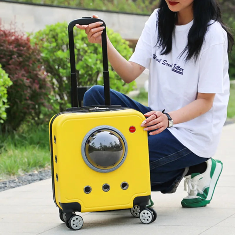 Pet Outdoor Portable Suitcase Cat Bag Dog Airline Approved Transport Carrier Space Bag Large Capacity Travel Trolley Case