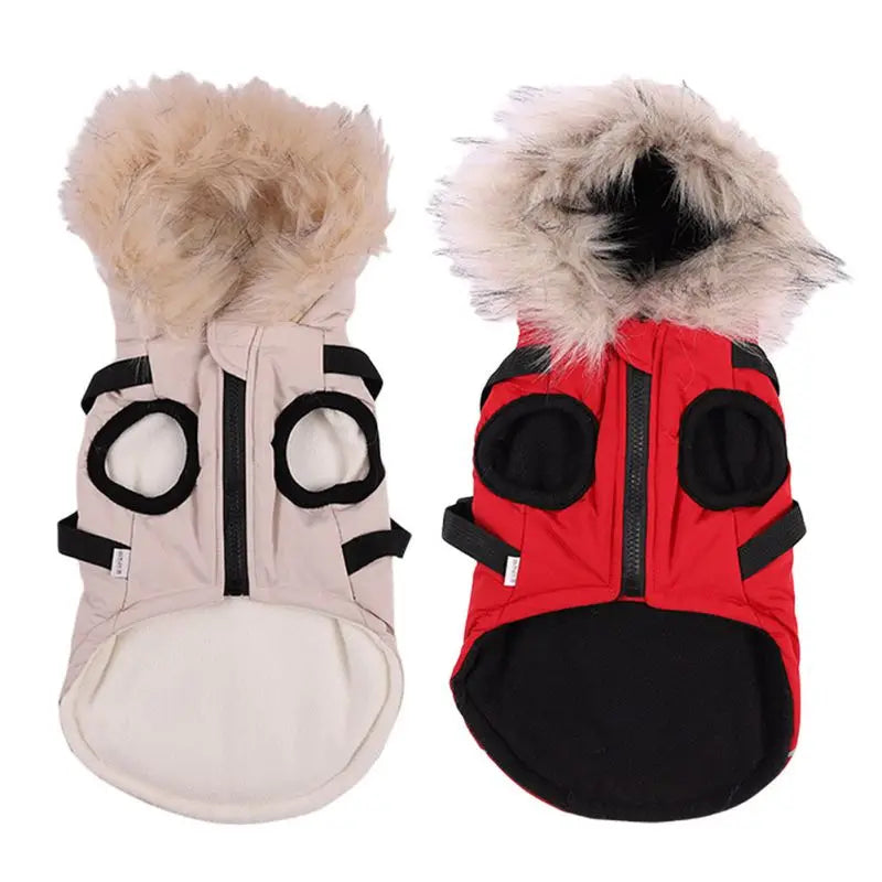 Winter Pet Dog Jacket With Harness Warm Dog Clothes Waterproof Hooded Coat for Small Medium Dogs