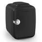 4L Mini Fridge 110V 220V Beauty Makeup Skincare Refrigerator AC/DC Heated Cooling Beauty Refrigerator Car Mini Fridge