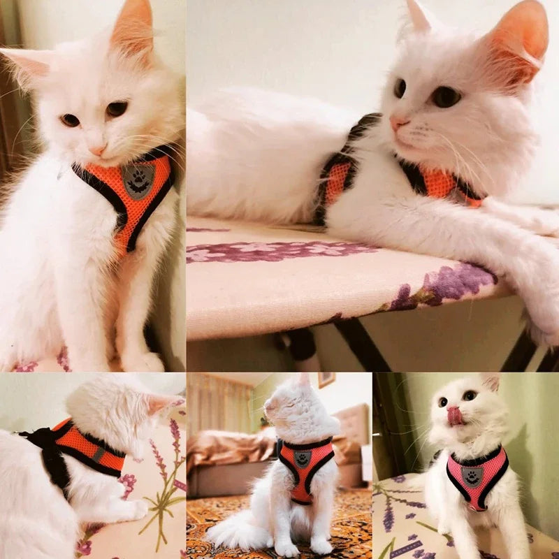 Summer Cat Dog Breathable Harness Adjustable Vest Polyester Mesh