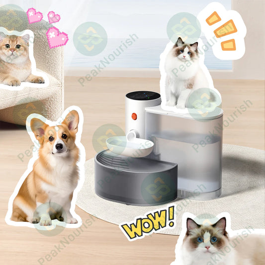 Pet water dispenser Dog and Cat Water Dispenser Dumping Cat Water Dispenser Running Water Charging Automatic Water Feeder