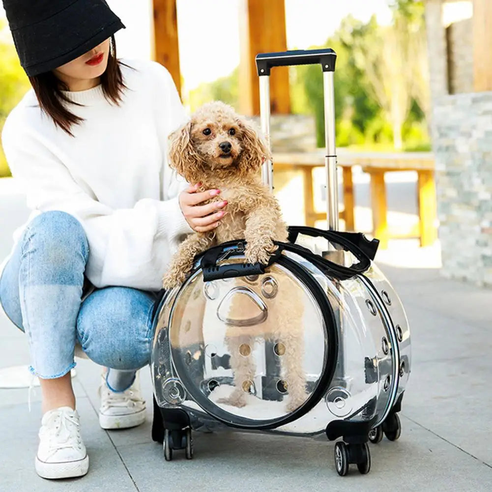 Pet Trolley Case with Ventilation Holes Portable Pet Trolley Case with Ventilation Holes Silent Wheels Travel Backpack for Cats
