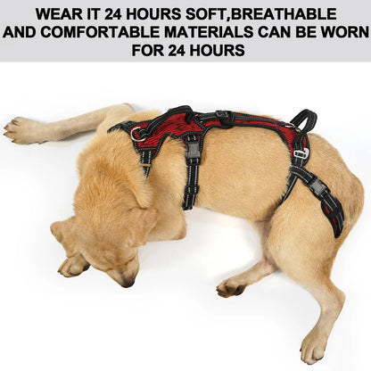 Mobility Dog Lift Harness, Support Sling & Walking Sling for Dogs, Pet Rear Leg Rehabilitation Support Vest, Dog Carrier