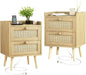 Rattan Nightstand with Charging Station Set of 2