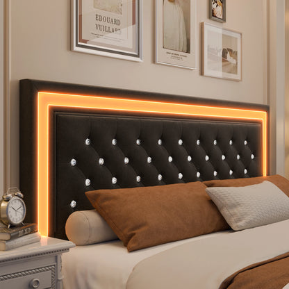 Queen LED Platform Bed Frame with 4 Storage, PU Leather, No Box Spring, Easy Assembly, 900lbs Capacity